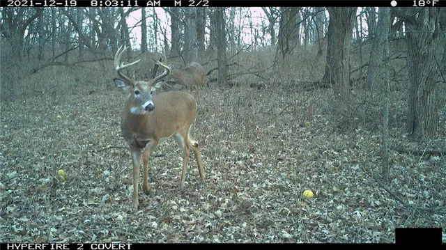 $972,500 | West State Line Road, Grant City, MO 64456