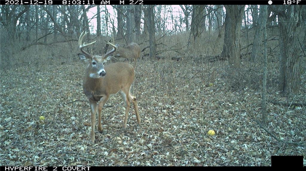 West State Line Road Grant City, MO 64456 - Photo 94 of 99