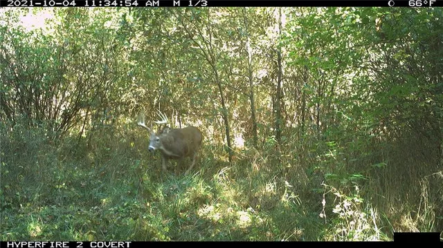 $972,500 | West State Line Road, Grant City, MO 64456