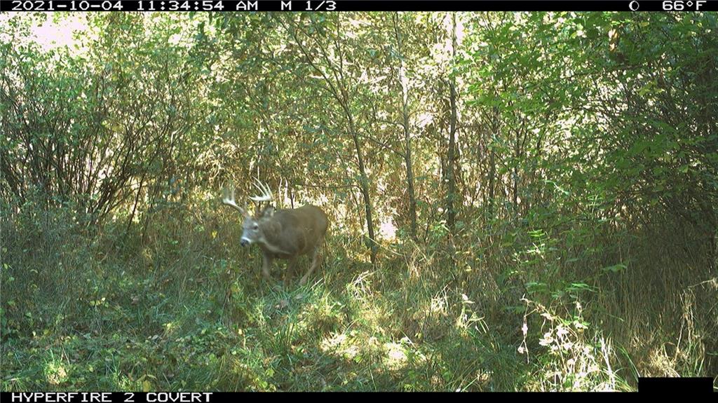 West State Line Road Grant City, MO 64456 - Photo 95 of 99
