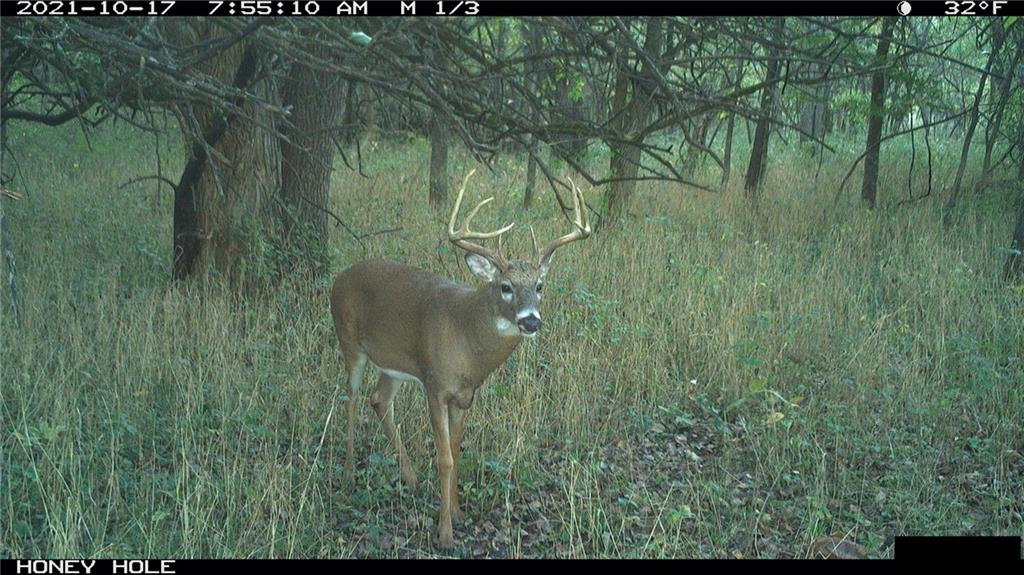 West State Line Road Grant City, MO 64456 - Photo 96 of 99