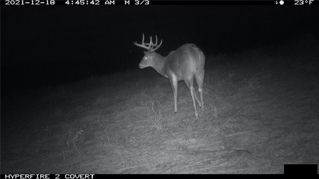 West State Line Road Grant City, MO 64456 - Photo 97 of 99