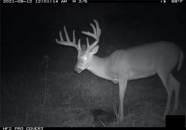 $972,500 | West State Line Road, Grant City, MO 64456