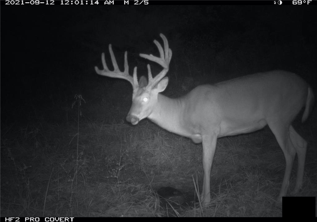 West State Line Road Grant City, MO 64456 - Photo 99 of 99