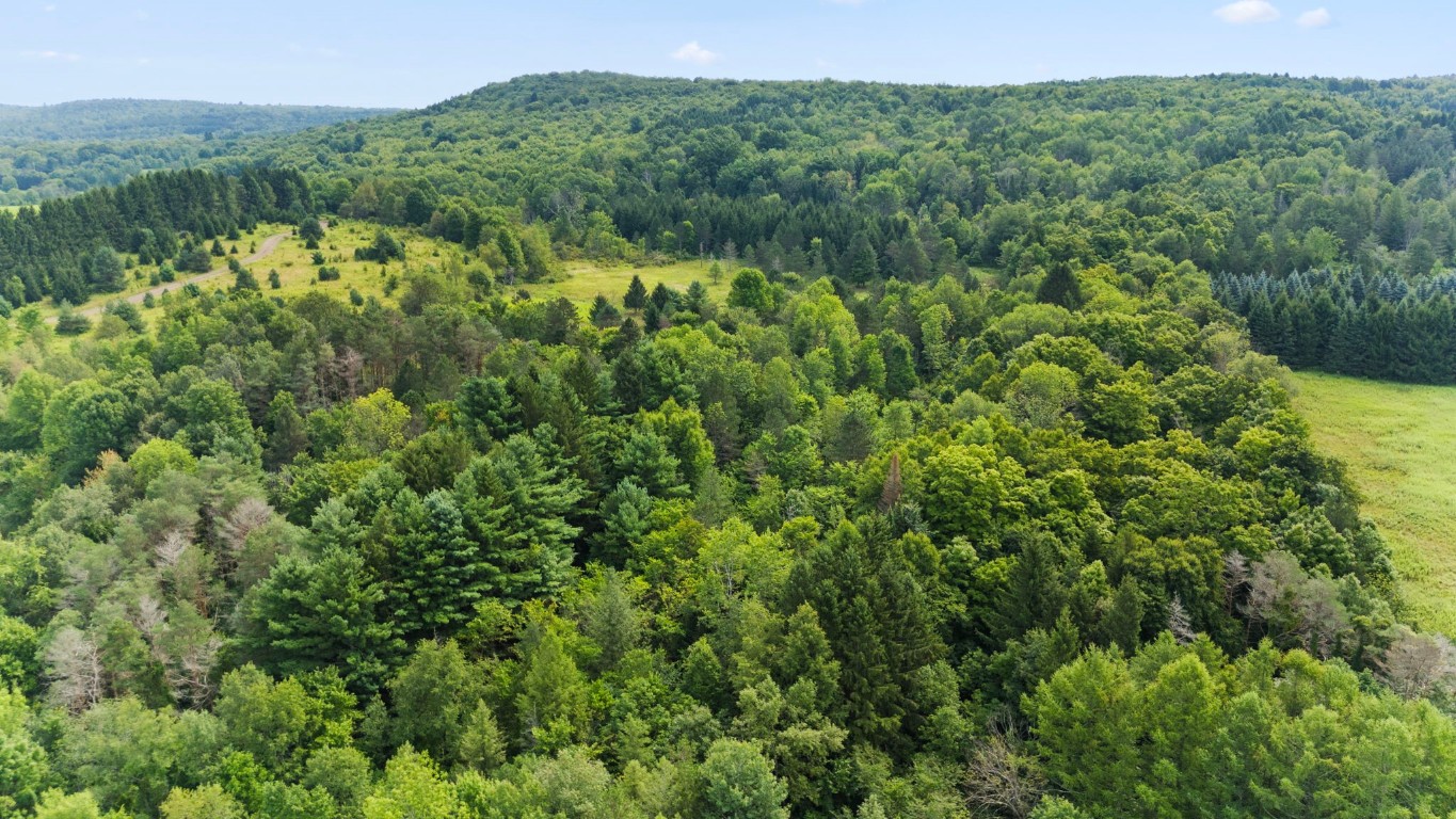 6010 Nys Rte 26 Whitney Point, NY 13862 - Photo 7 of 23