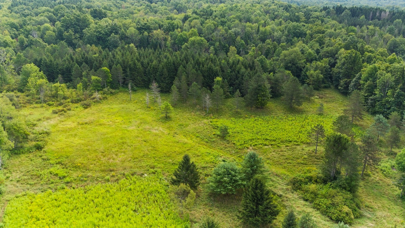 6010 Nys Rte 26 Whitney Point, NY 13862 - Photo 8 of 23