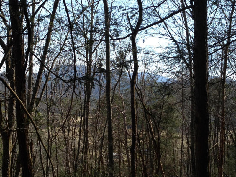 Fox Hollow Road Townsend, TN 37882 - Photo 3 of 9 Fox Hollow2