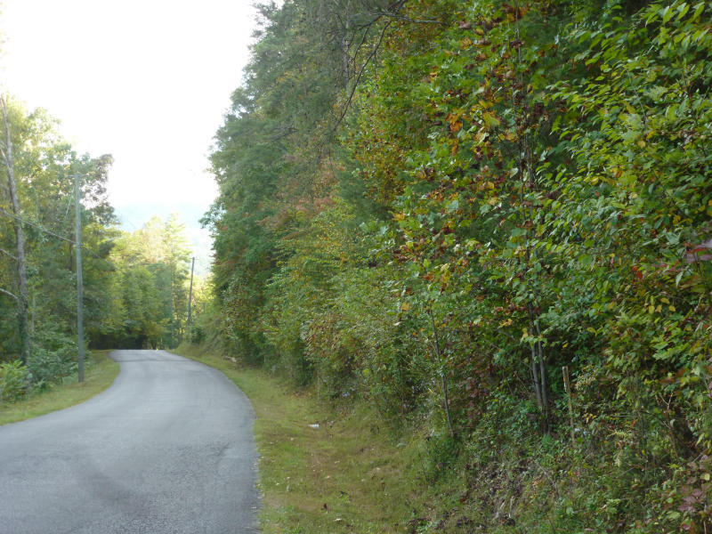 Fox Hollow Road Townsend, TN 37882 - Photo 8 of 9 Fox Hollow7