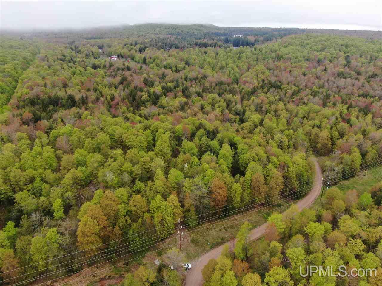 0 County Road 577 Road, Unit ANNA RIVER RDP Munising, MI 49862 - Photo 8 of 26