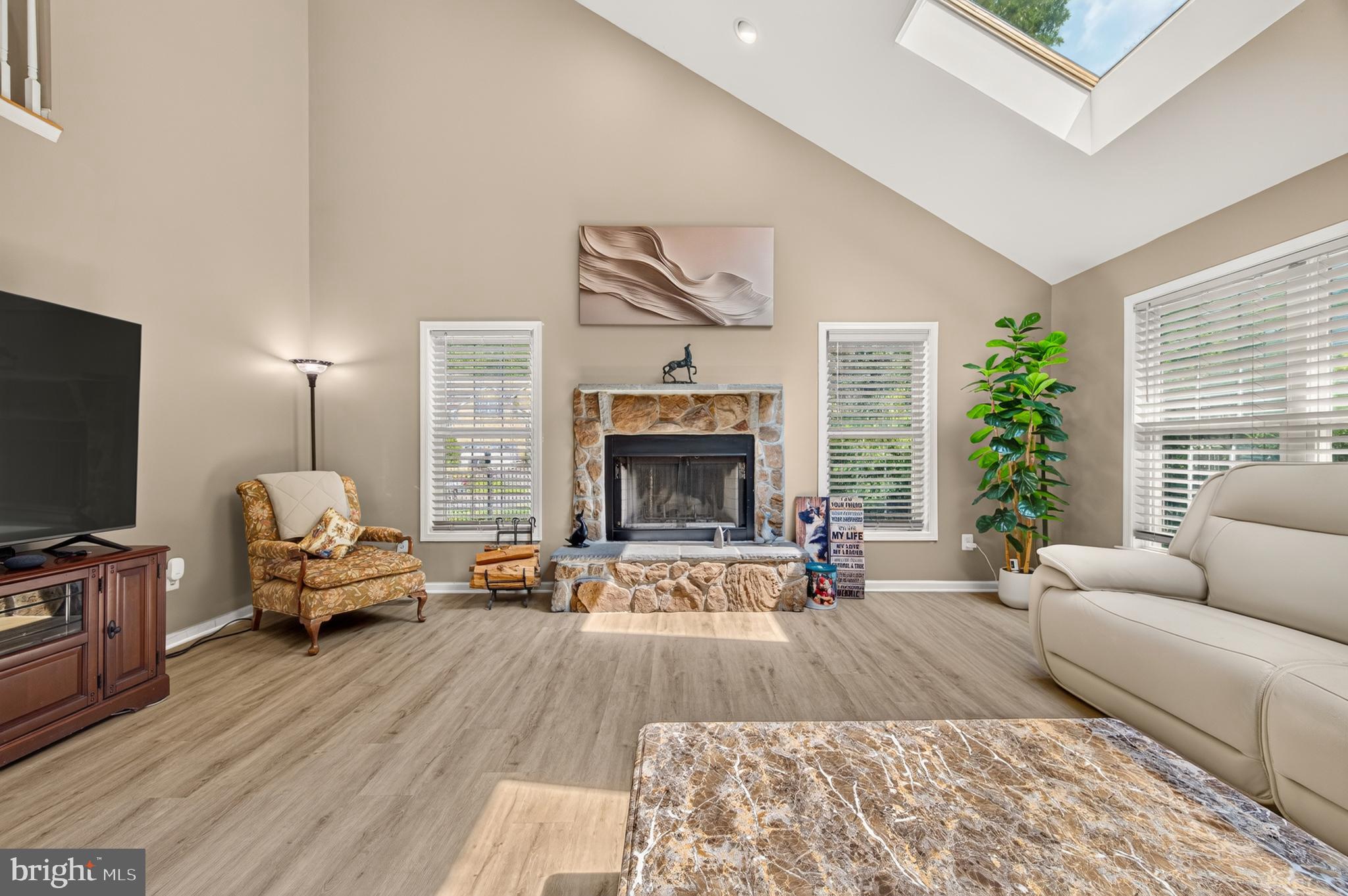 342 Canyon Road Winchester, VA 22602 - Photo 35 of 93 Bright Family Room with skylights