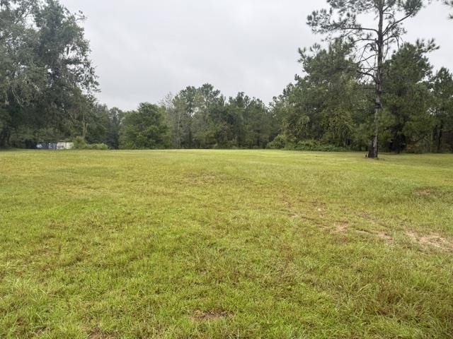 485 Duval Pond Road Madison, FL 32340 - Photo 14 of 17 Gallery Image 14