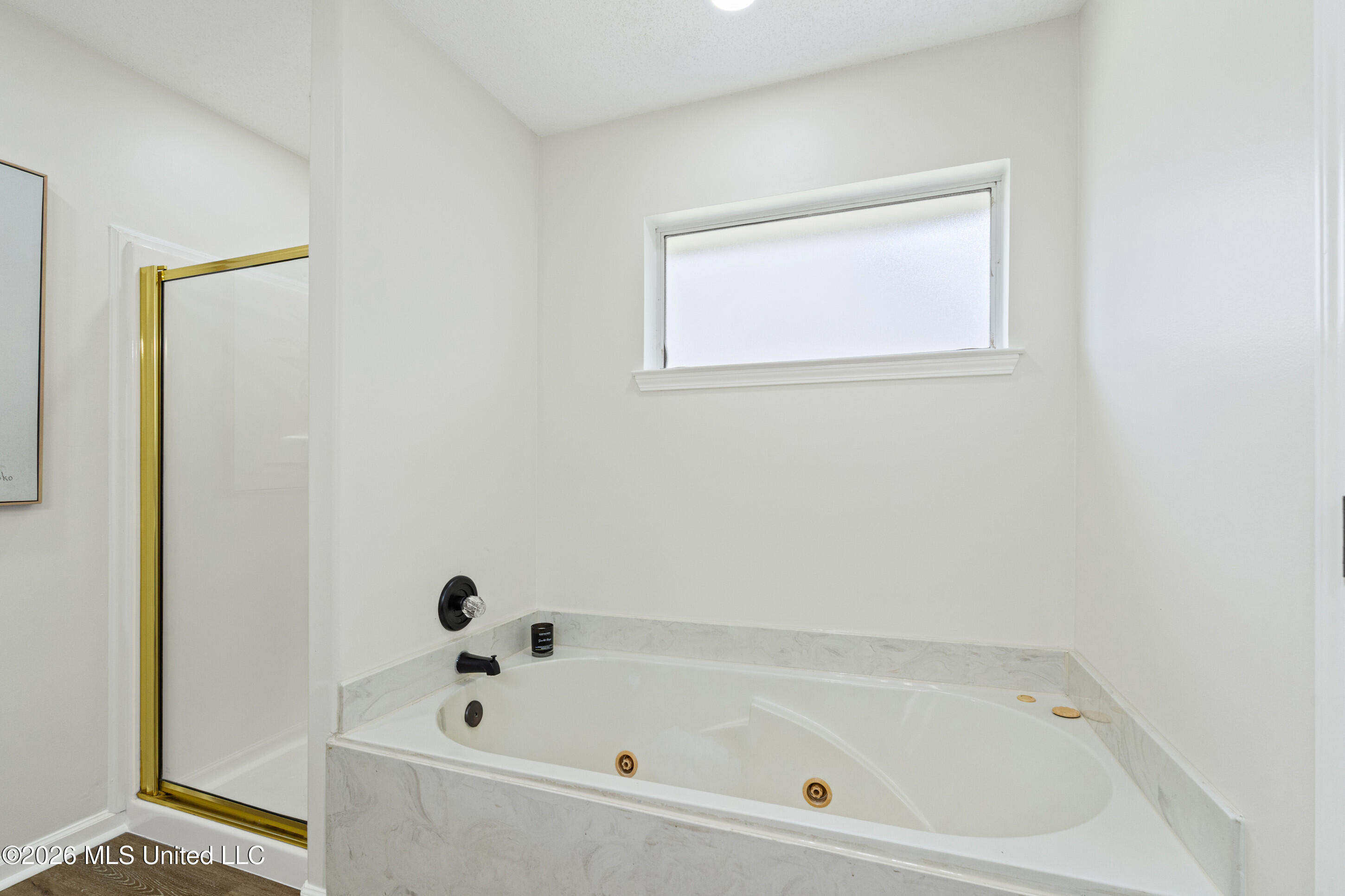 9837 Alexanders Ridge Drive Olive Branch, MS 38654 - Photo 19 of 30 _DSC8181_print