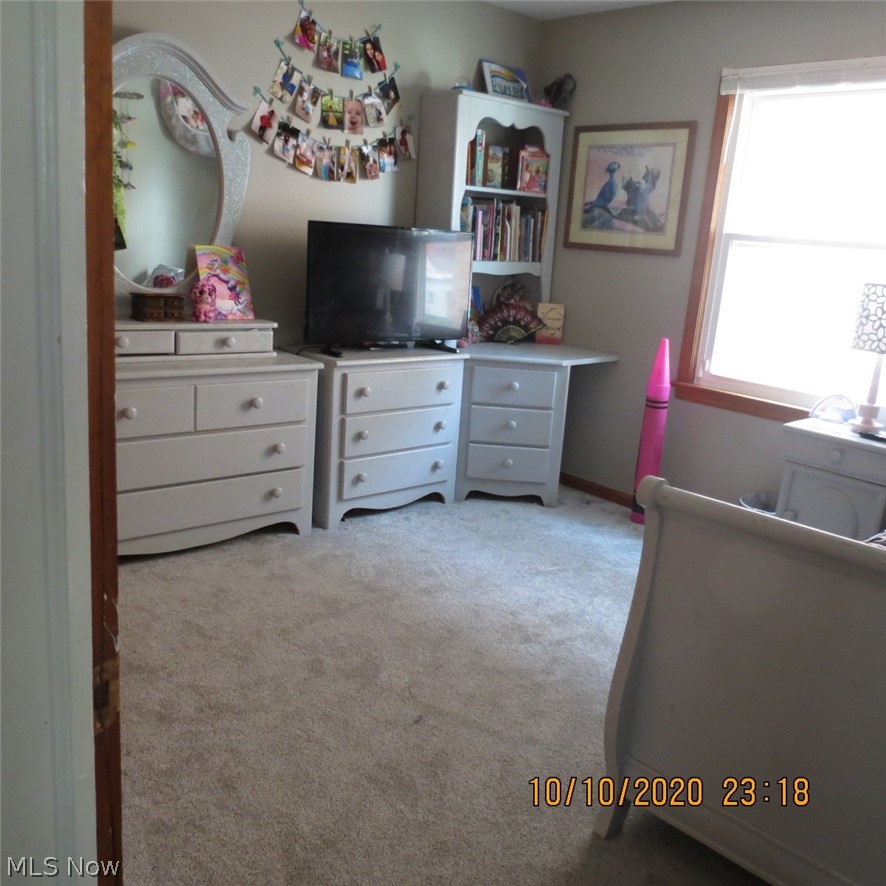 4102 Snow Road Cleveland, OH 44134 - Photo 6 of 19