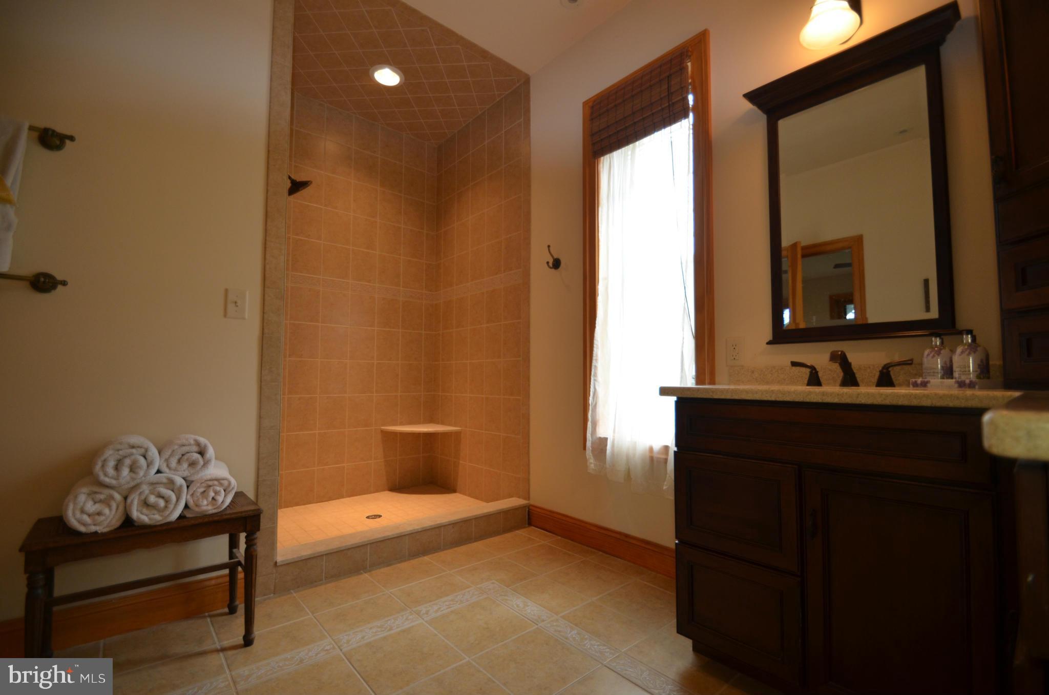 410 River Road Chestertown, MD 21620 - Photo 13 of 18 Bath (Master)