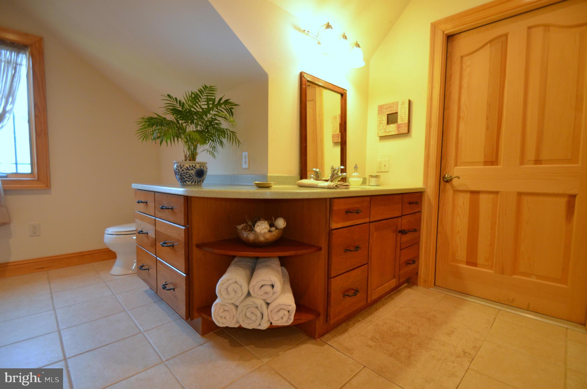 410 River Road Chestertown, MD 21620 - Photo 15 of 18 Bath