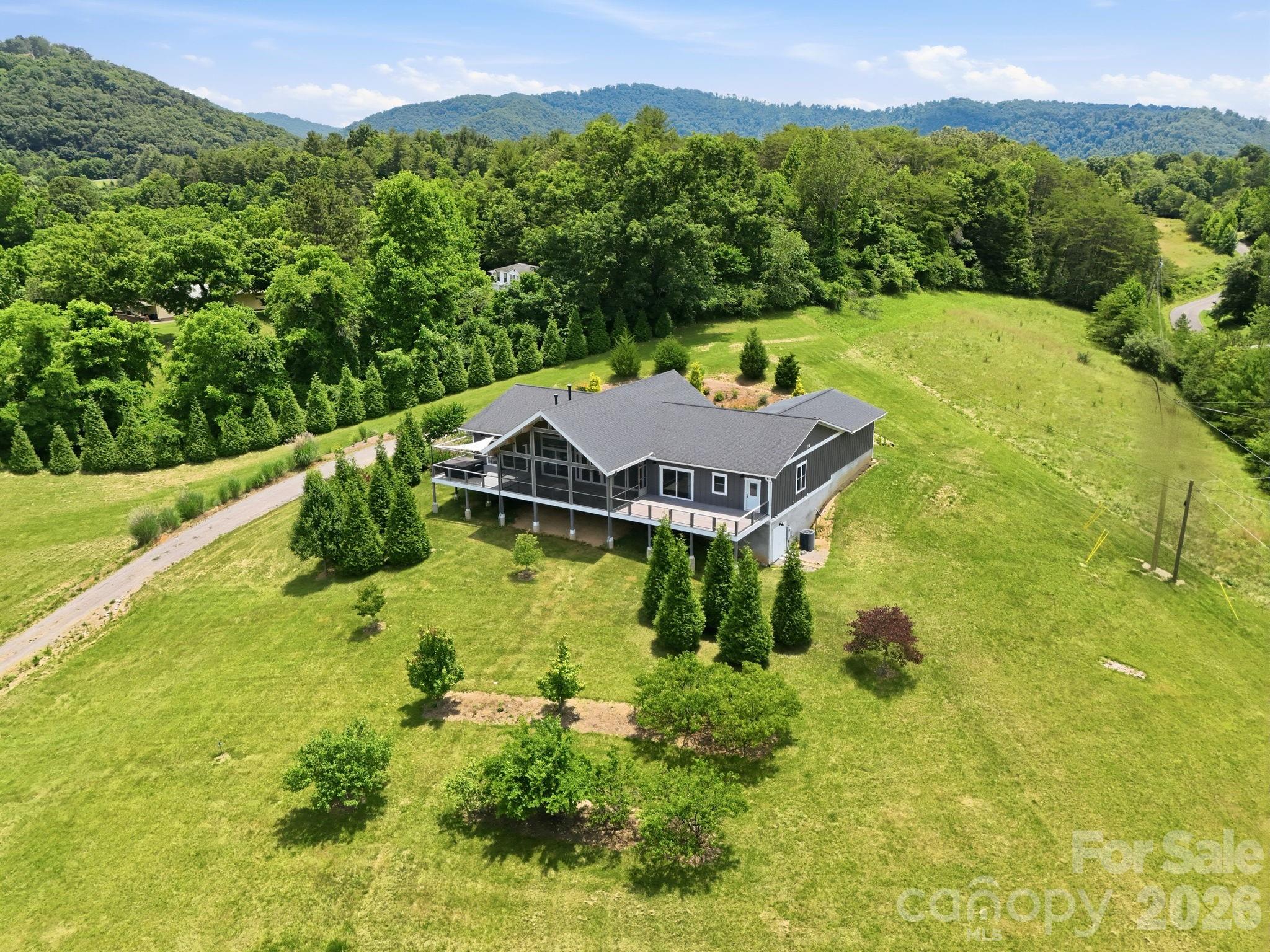 41 Bell Sprinkle Road Weaverville, NC 28787 - Photo 3 of 47