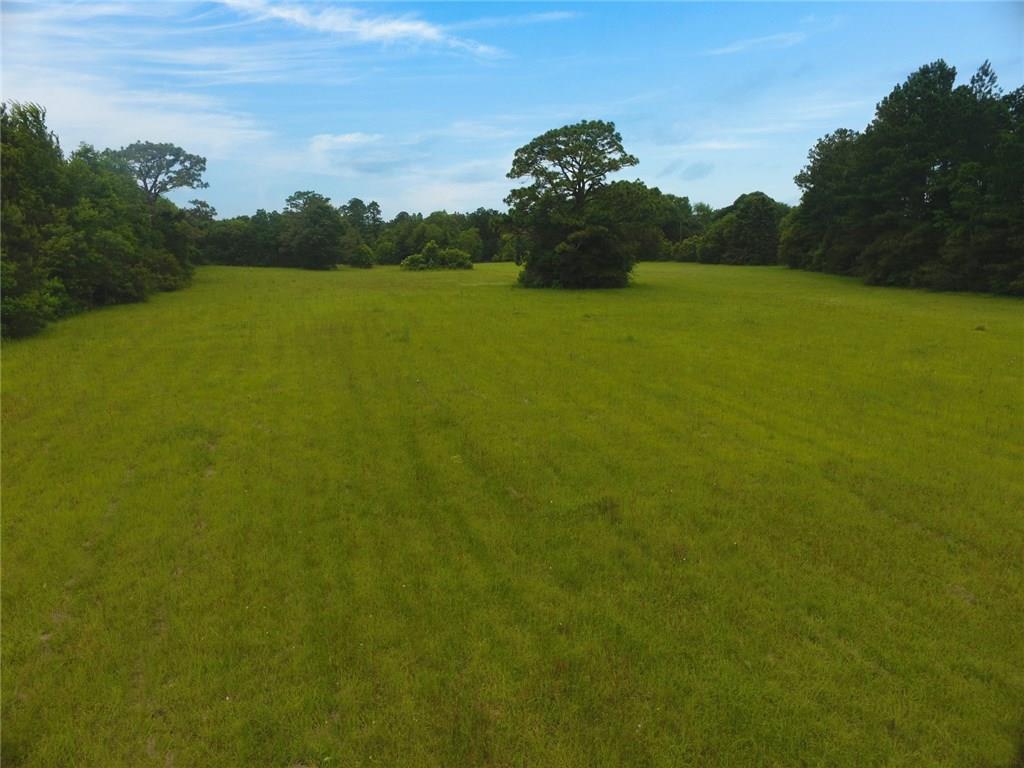 0 Sweetwater Road Independence, LA 70443 - Photo 5 of 6