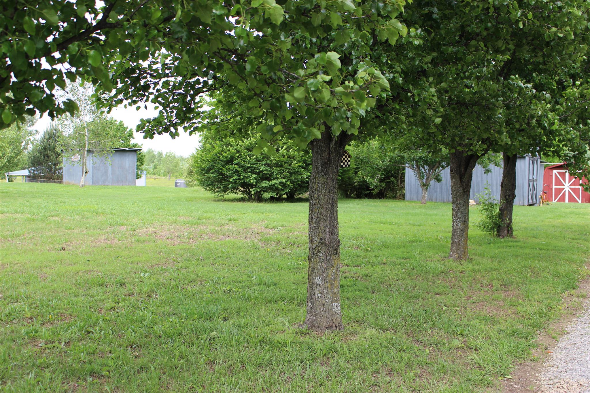 2049 Sugar Camp Road Springfield, TN 37172 - Photo 2 of 6 a view of a trees in a yard