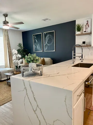 a living room with furniture and a potted plant