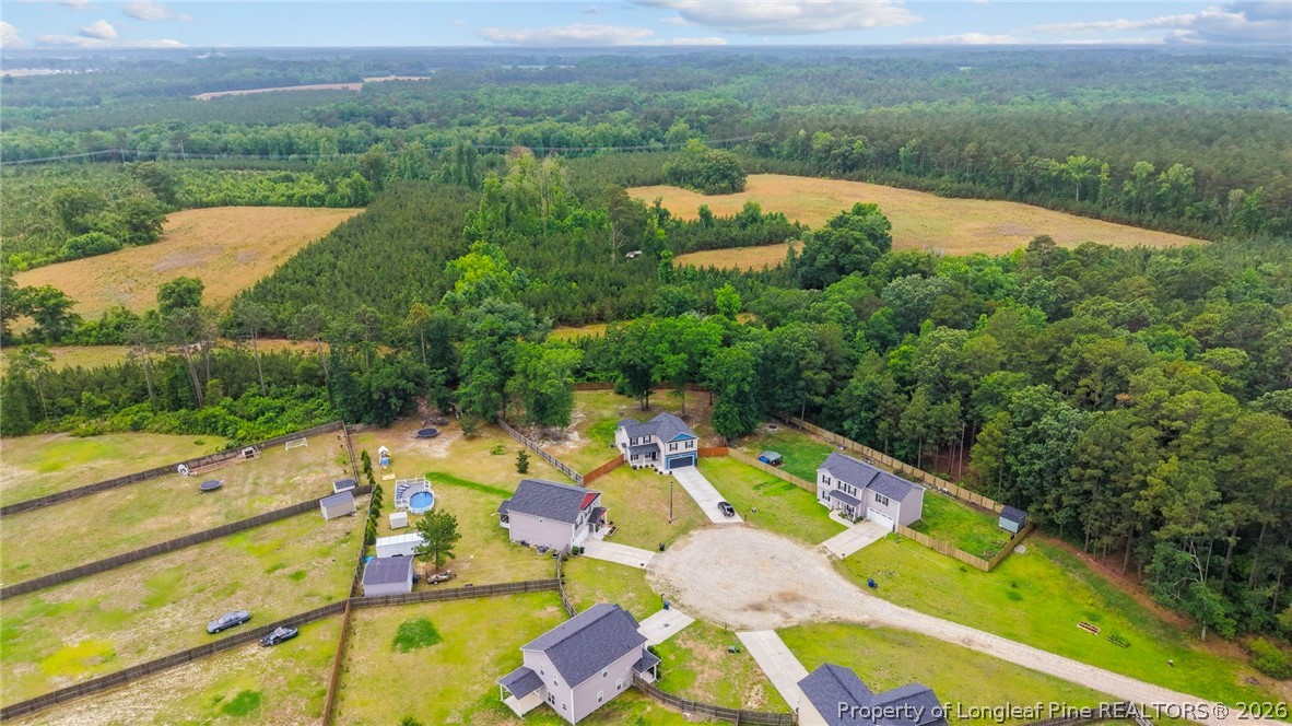 388 Dundee Farm Road Raeford, NC 28376 - Photo 39 of 41