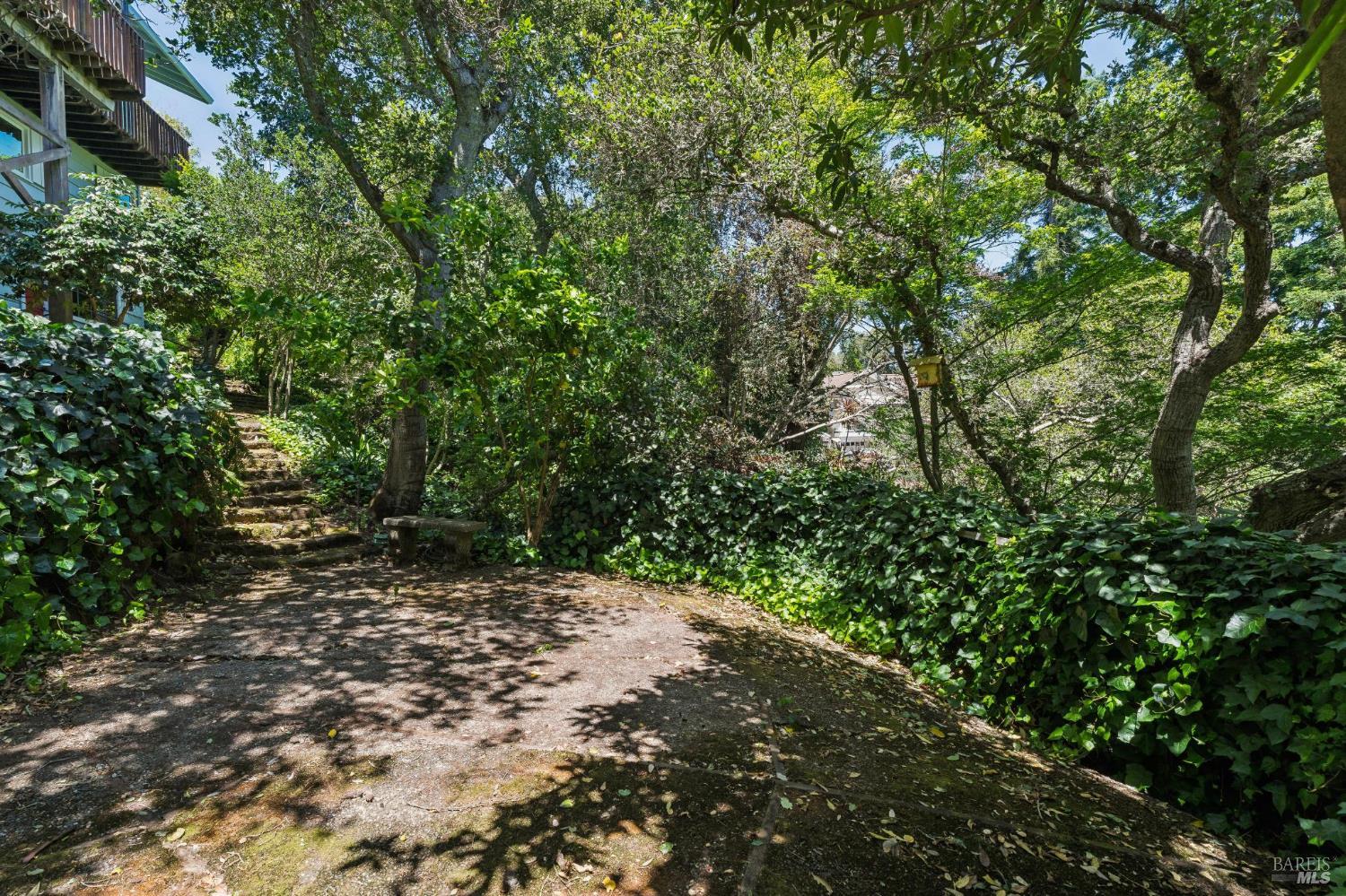 500 Summit Avenue Mill Valley, CA 94941 - Photo 23 of 25