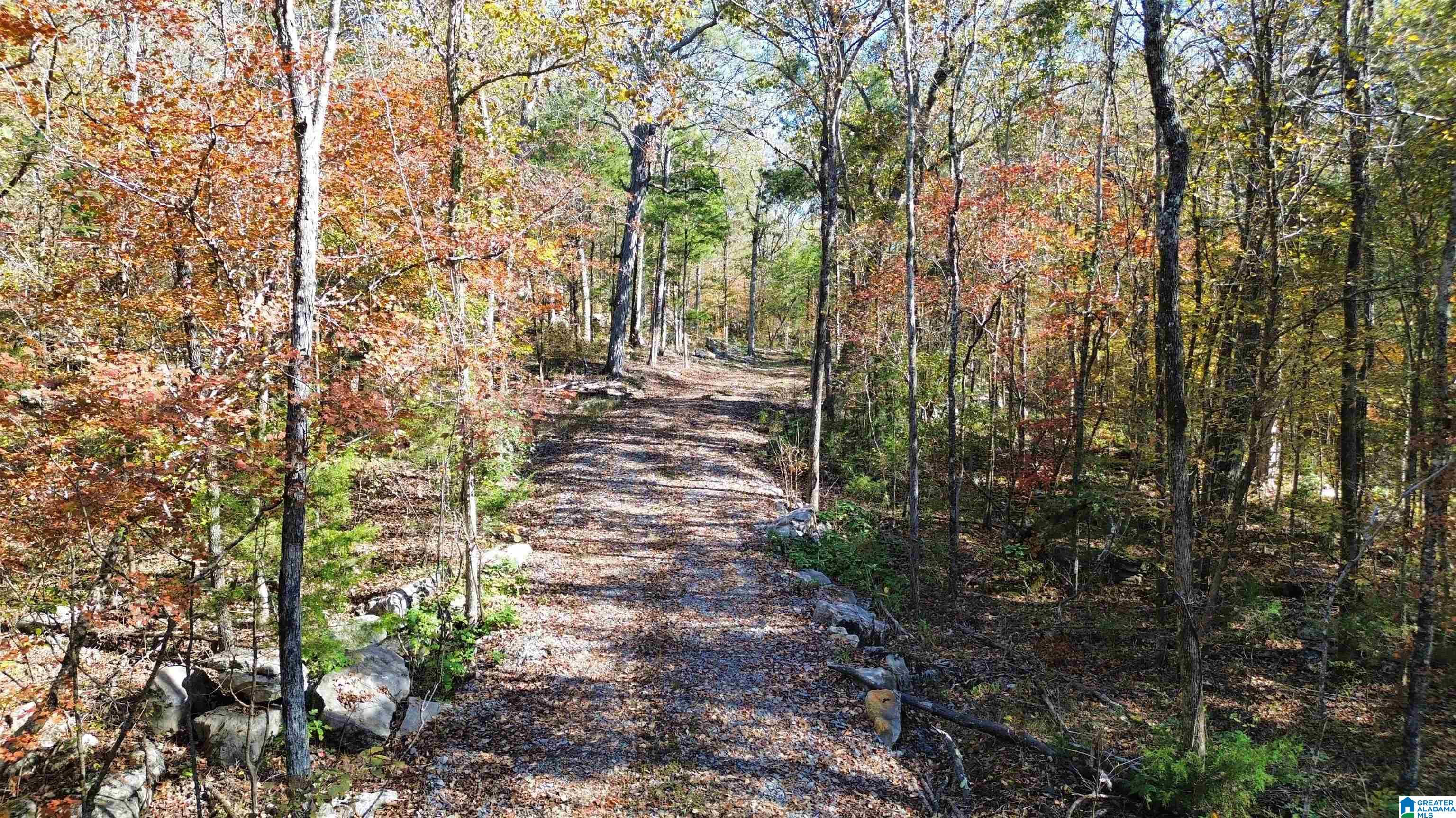 0 Mill Creek Road, Unit 20 Warrior, AL 35180 - Photo 1 of 17