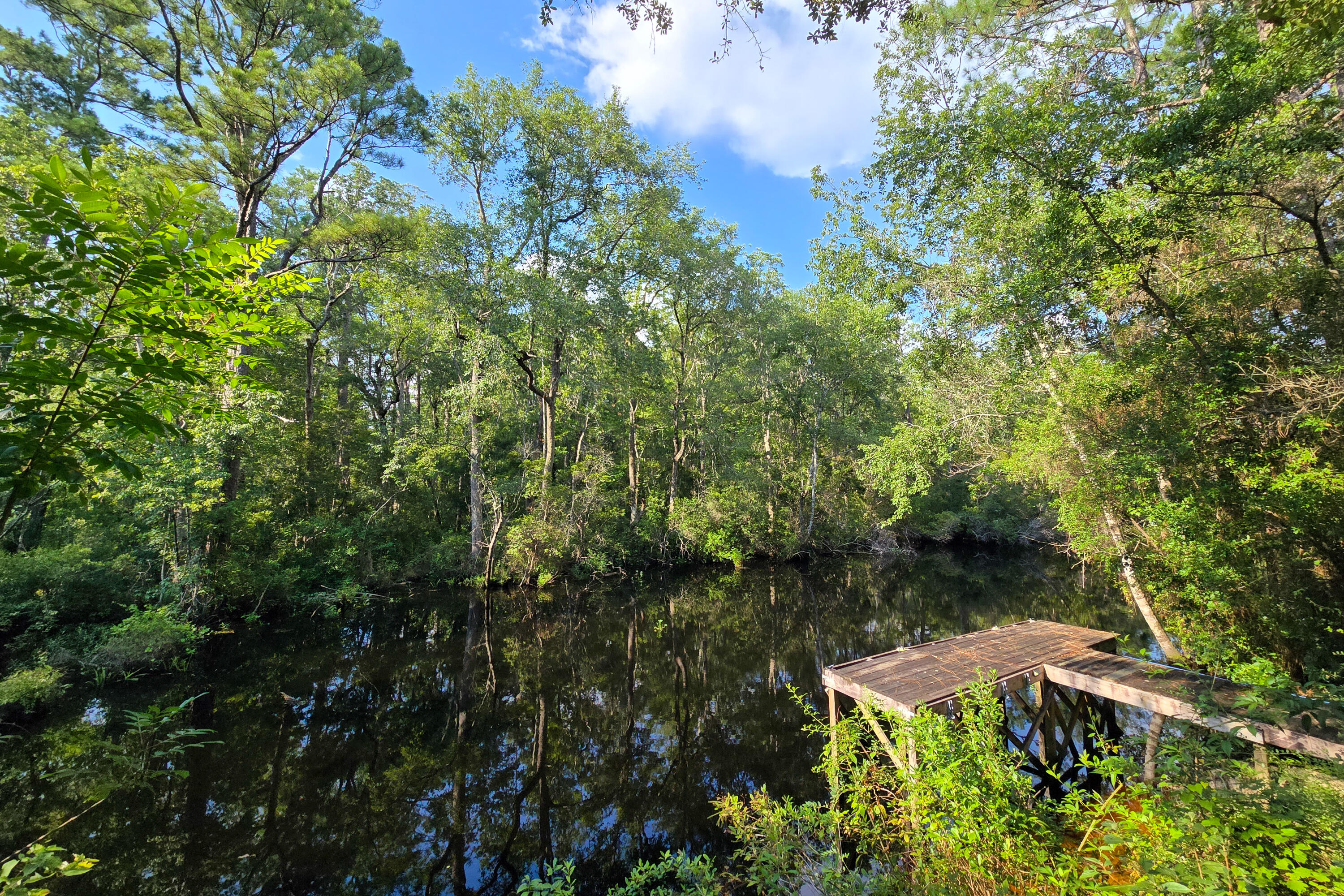 696 Phillips Drive Freeport, FL 32439 - Photo 32 of 49 a view of yard with green space