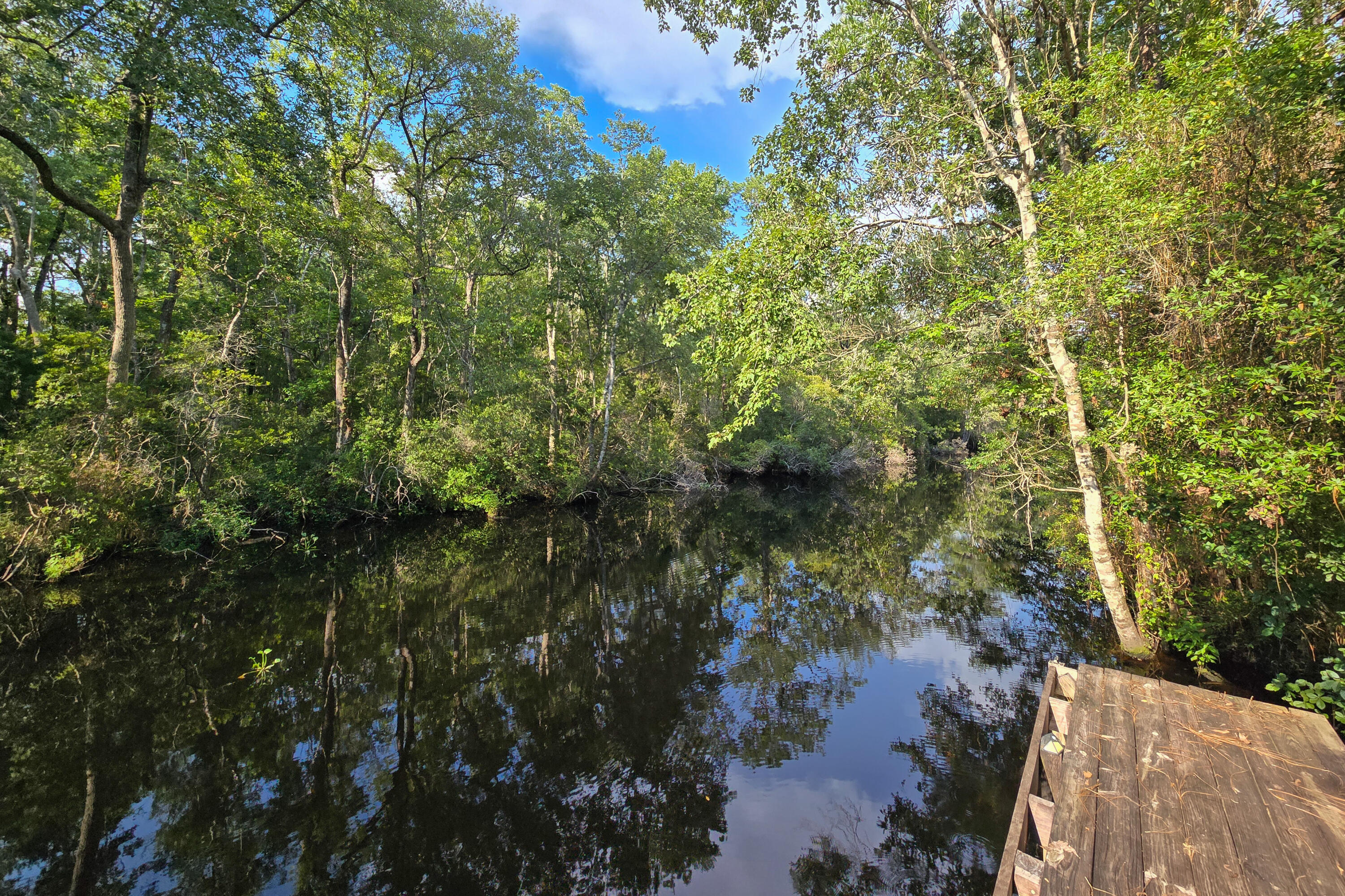 696 Phillips Drive Freeport, FL 32439 - Photo 33 of 49 a view of a lake