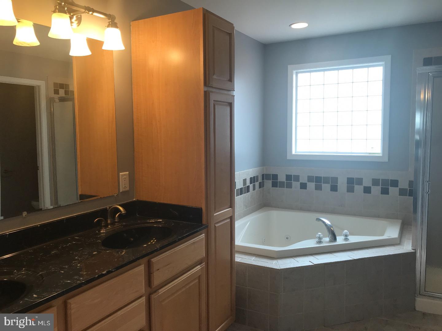 973 Jackson Ditch Road Harrington, DE 19952 - Photo 14 of 25 Master Bathroom