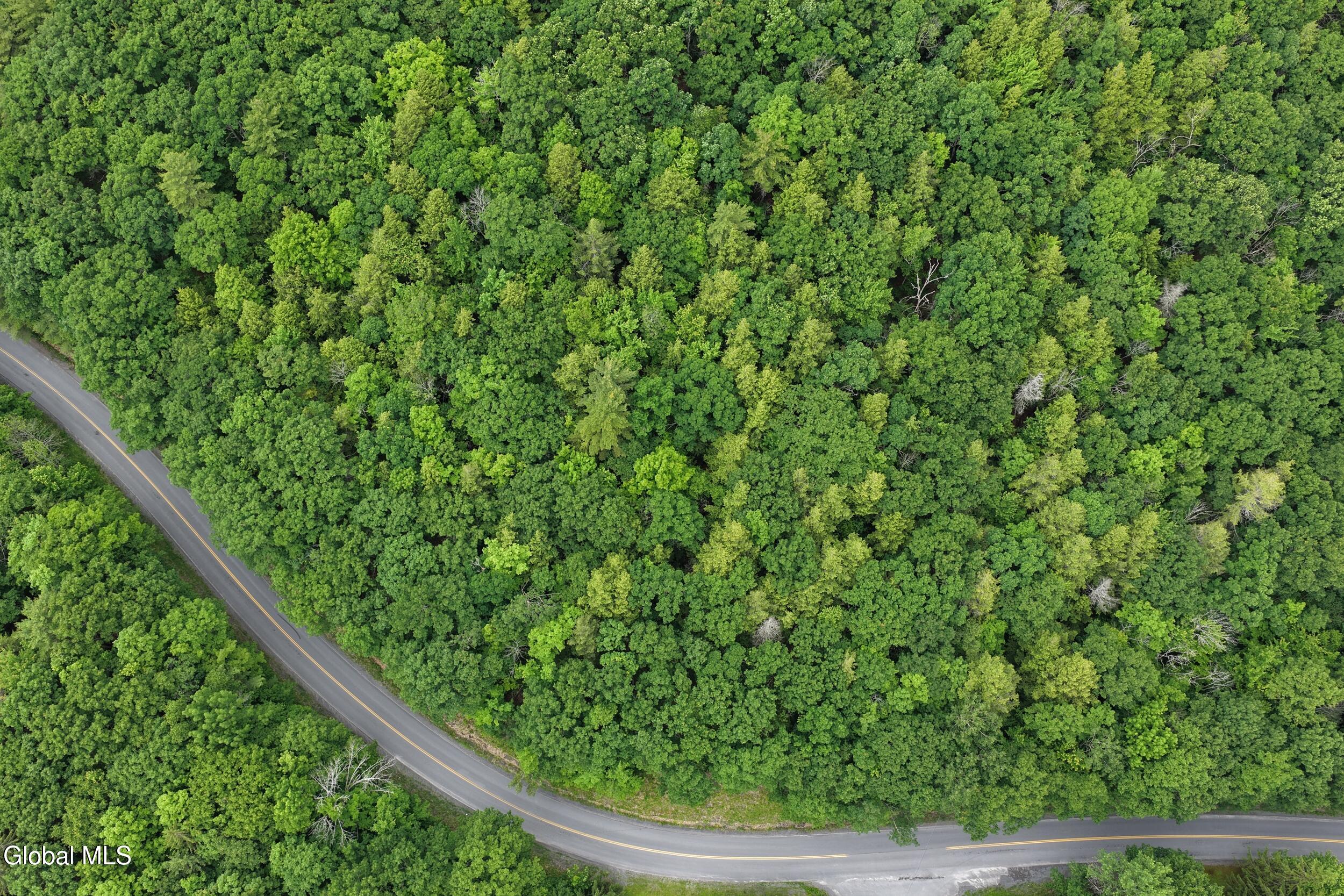 L1.00 Cotton Hill Road Middleburgh, NY 12122 - Photo 16 of 17 dji_20260616014247_0062_d