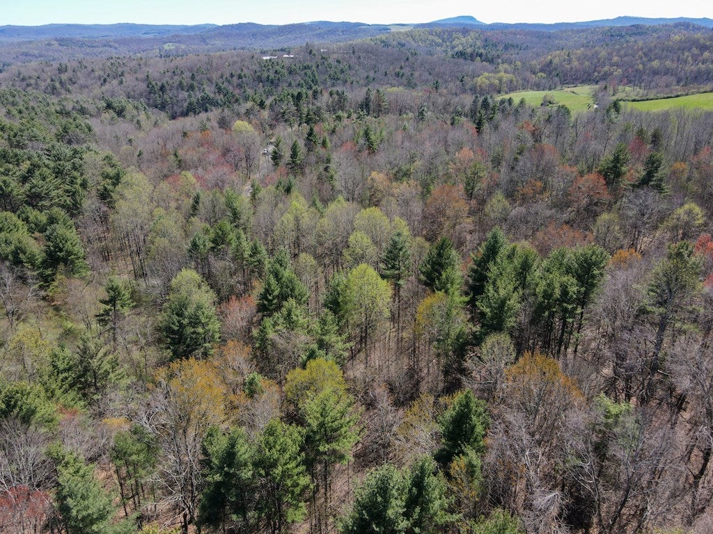 Reedsville Road Northwest Floyd, VA 24091 - Photo 29 of 31 Gallery Image 29