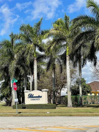 a view of a park with palm trees