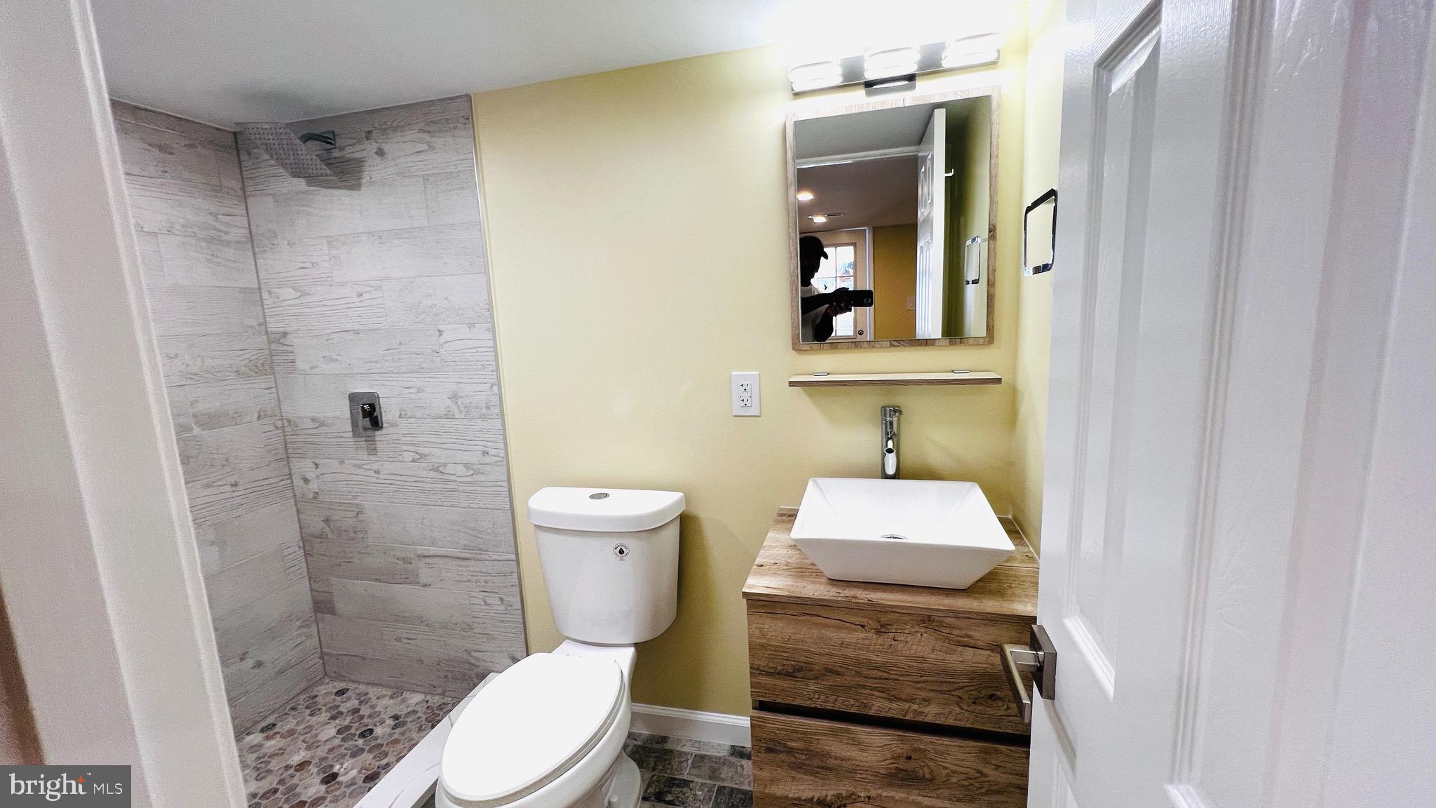 333 Raleigh Street Southeast Washington, DC 20032 - Photo 85 of 106 Basement Bathroom