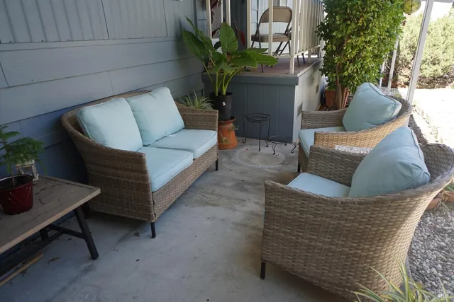 a living room with furniture and a potted plant