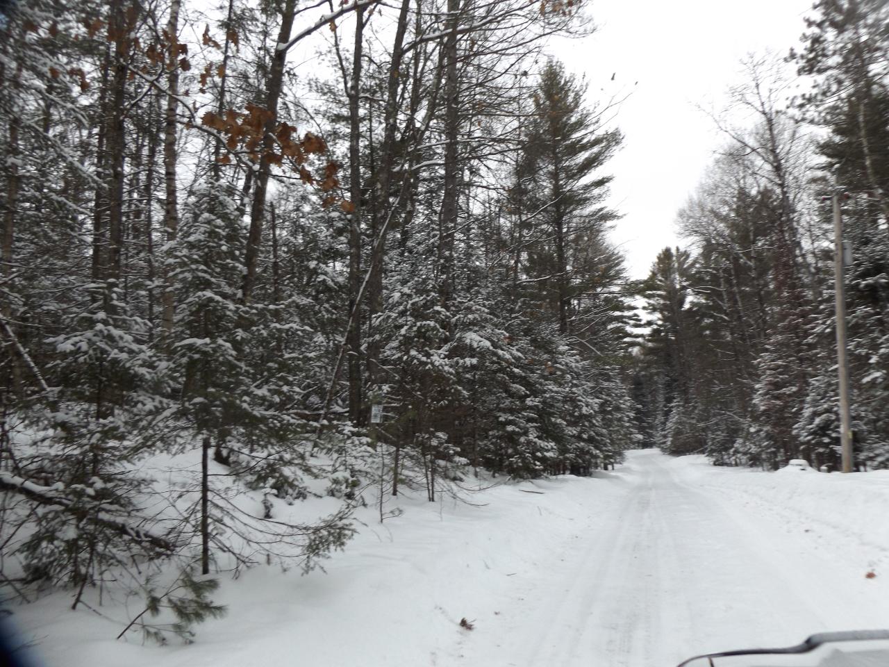 On Moon Road, Unit LOT #14 St. Germain, WI 54558 - Photo 10 of 11 Gallery Image 10