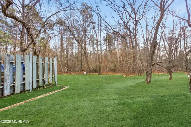 a view of a park with large trees