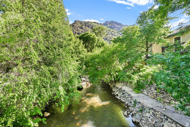 655 Ogden Canyon Road Ogden, UT 84401 - Photo 33 of 50 Creek frontage surrounded by lush deciduous trees and a rocky mountain backdrop