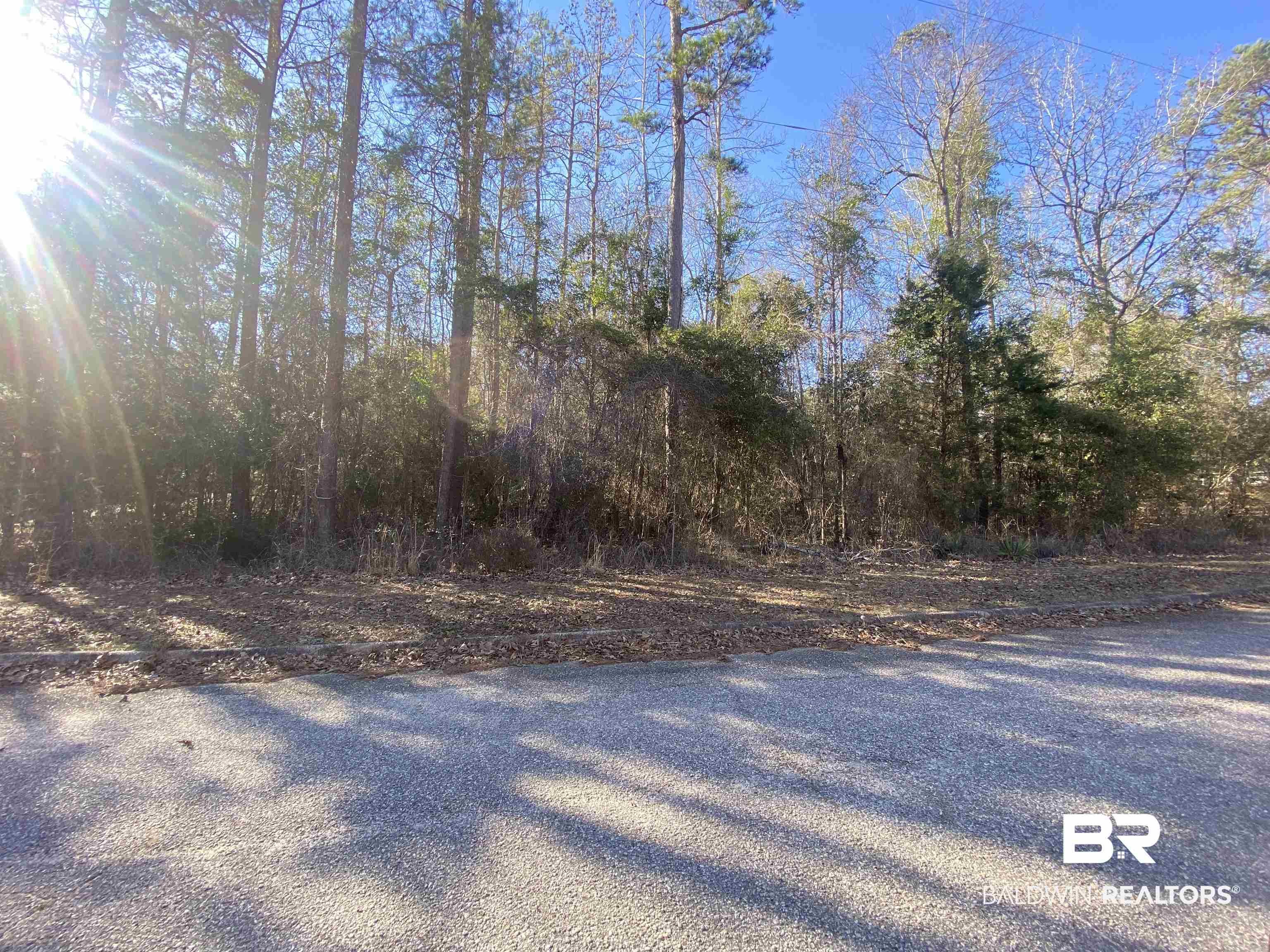 0 Norwood Road Monroeville, AL 36460 - Photo 3 of 5
