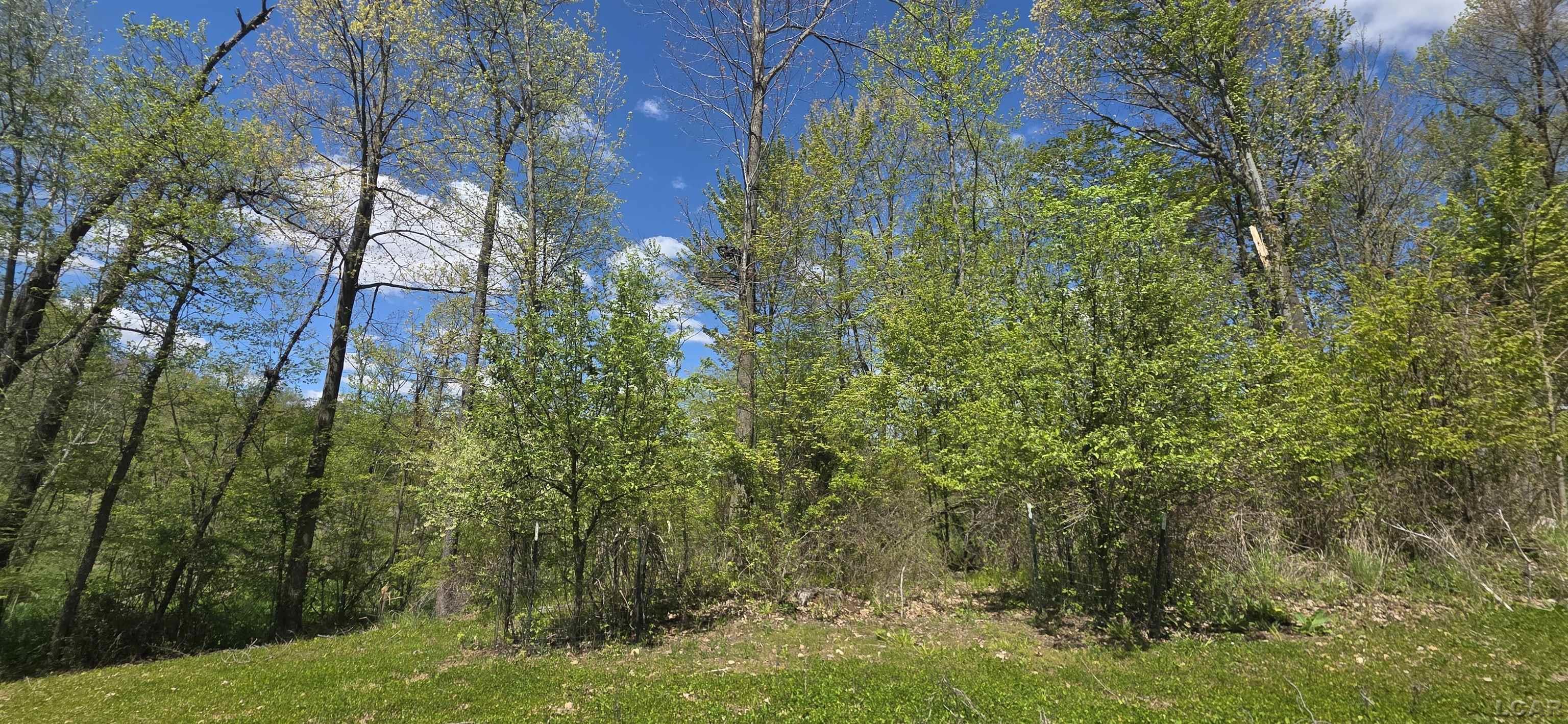 15252 27 Mile Road Albion, MI 49224 - Photo 25 of 57