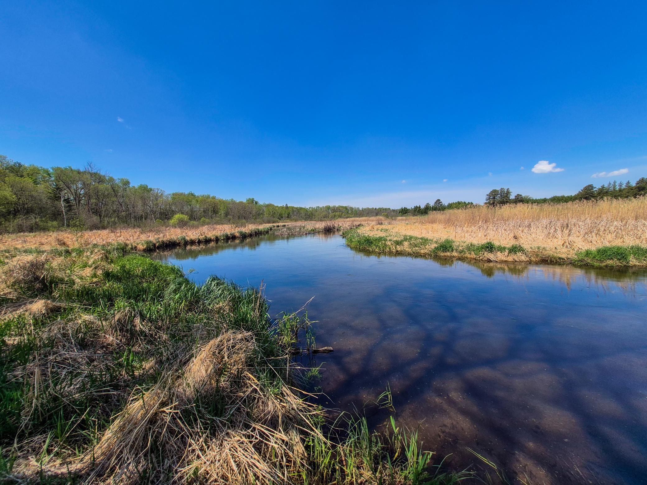 152 County 152 Park Rapids, MN 56470 - Photo 12 of 67