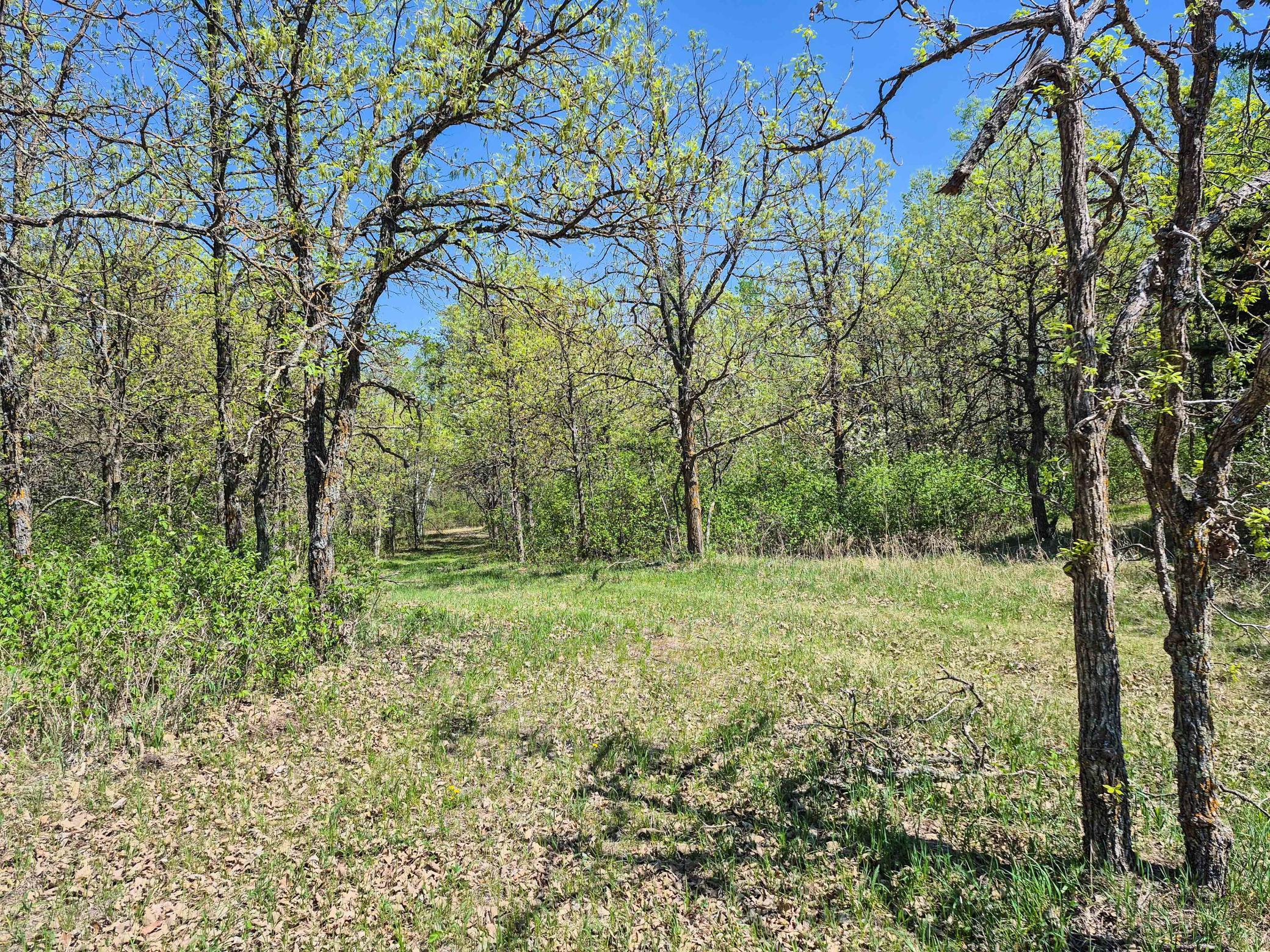 152 County 152 Park Rapids, MN 56470 - Photo 18 of 67