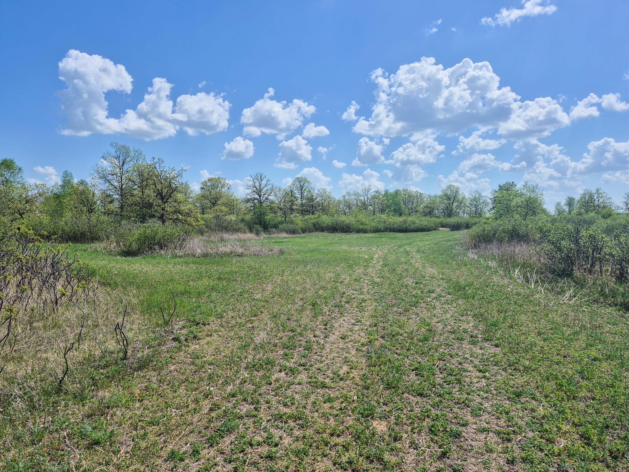 152 County 152 Park Rapids, MN 56470 - Photo 23 of 67