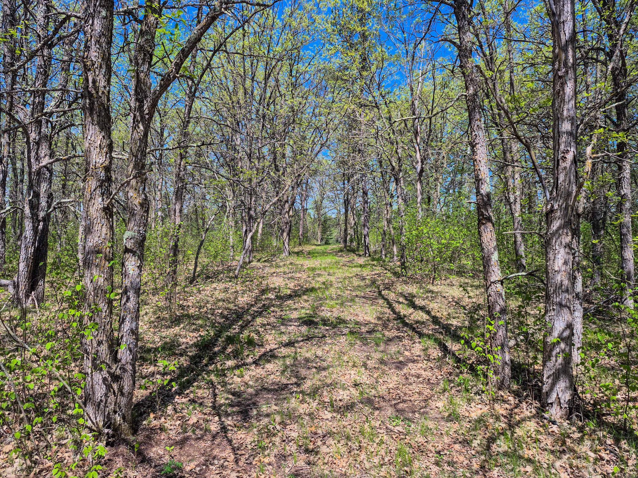 152 County 152 Park Rapids, MN 56470 - Photo 26 of 67