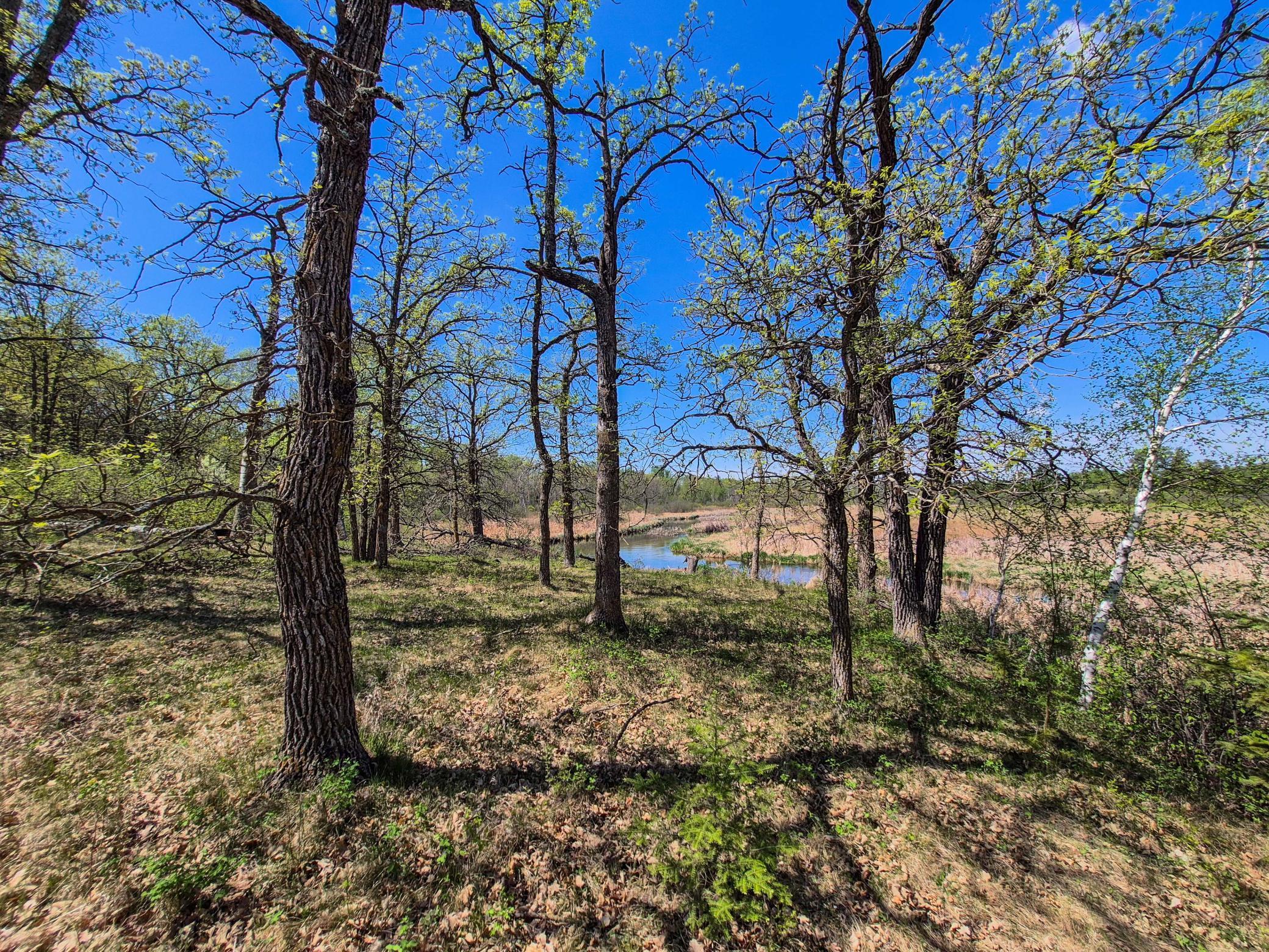 152 County 152 Park Rapids, MN 56470 - Photo 51 of 67