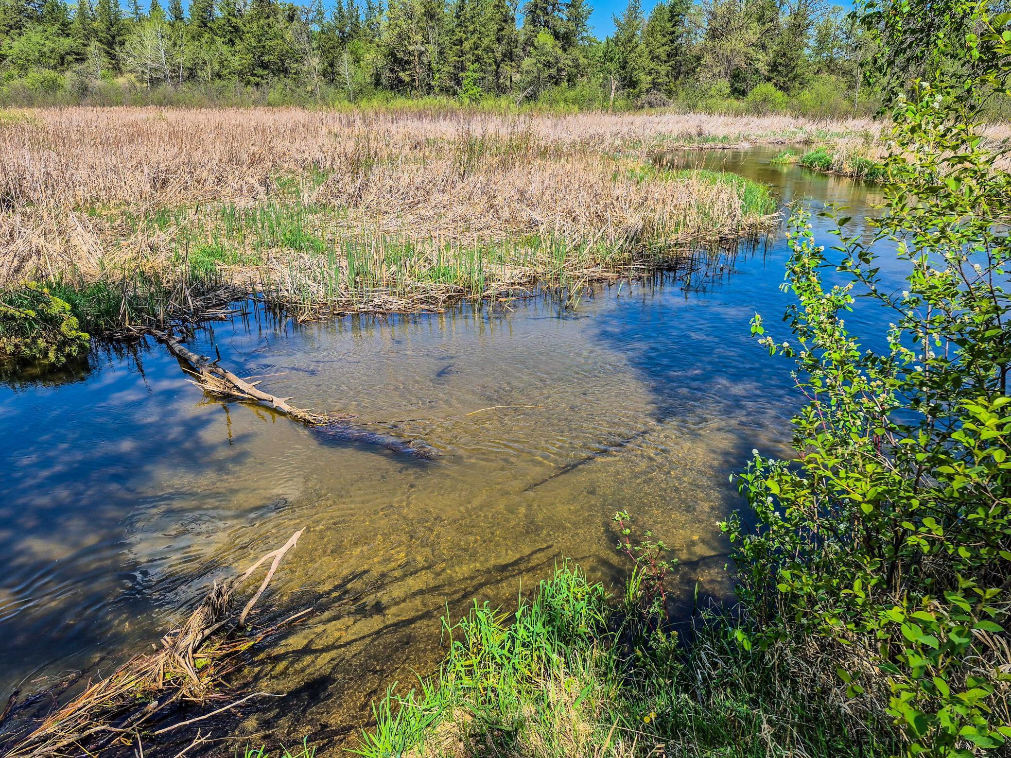 152 County 152 Park Rapids, MN 56470 - Photo 52 of 67