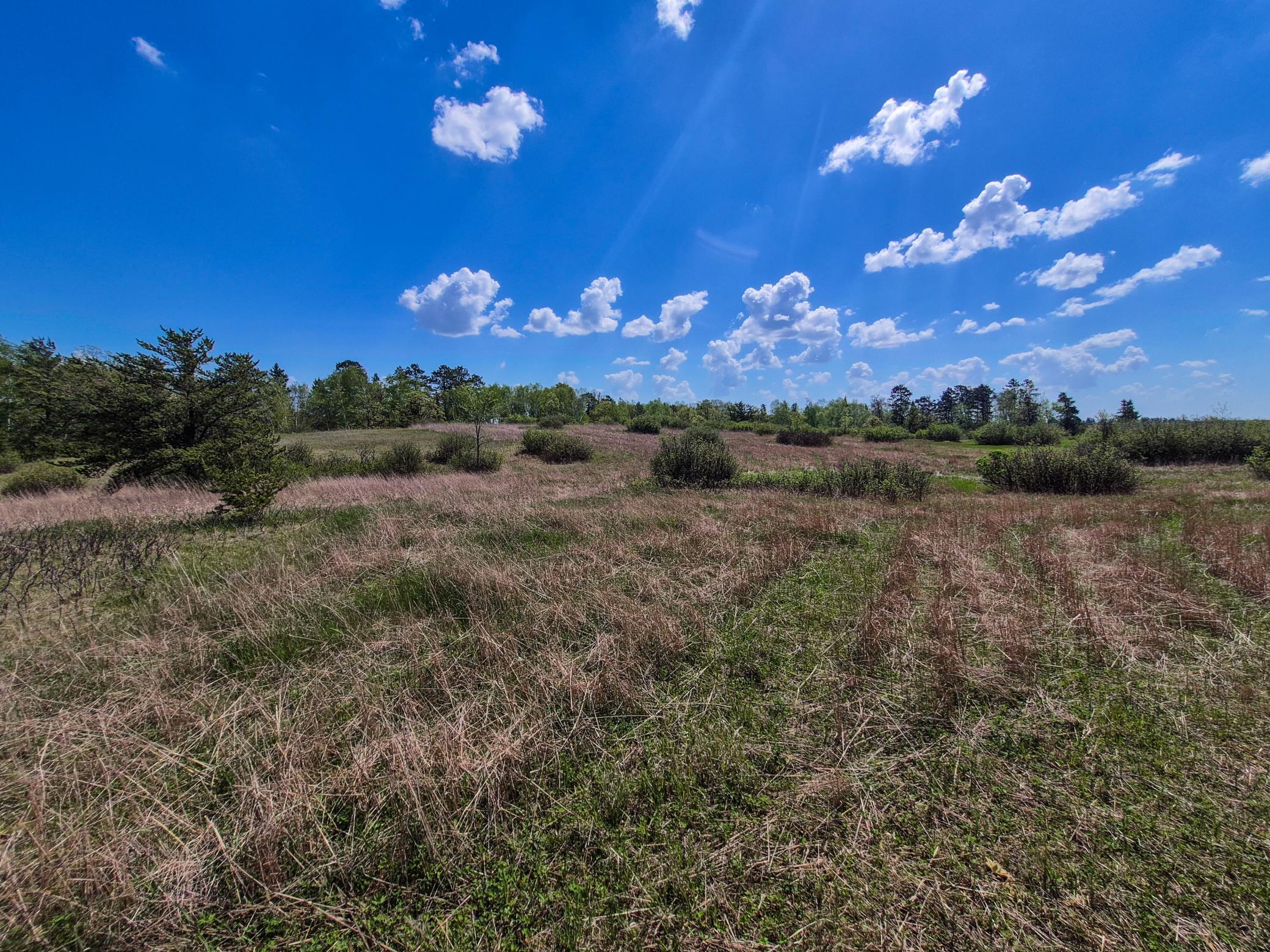 152 County 152 Park Rapids, MN 56470 - Photo 54 of 67