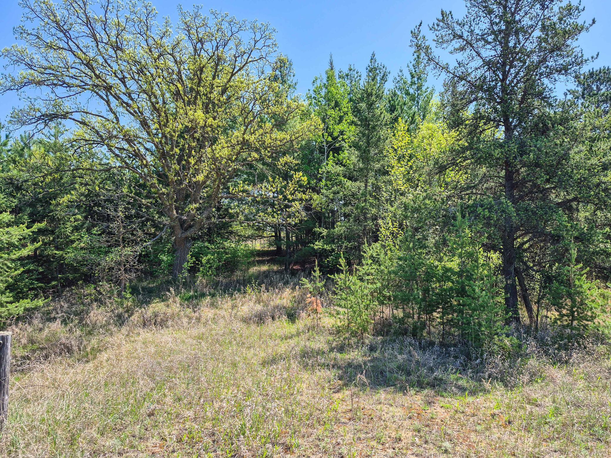 152 County 152 Park Rapids, MN 56470 - Photo 66 of 67