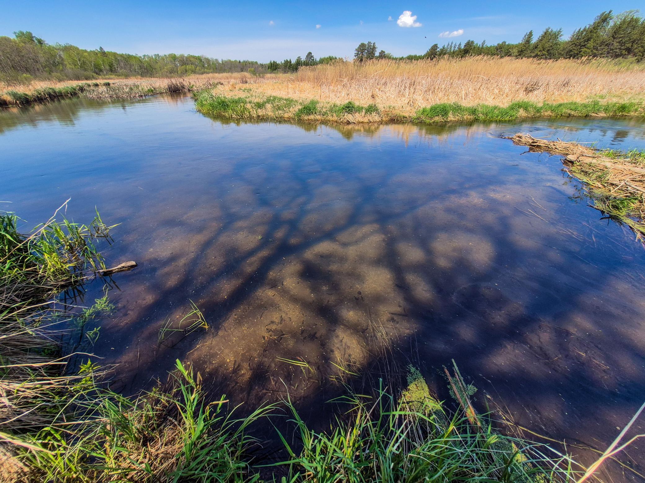152 County 152 Park Rapids, MN 56470 - Photo 7 of 67