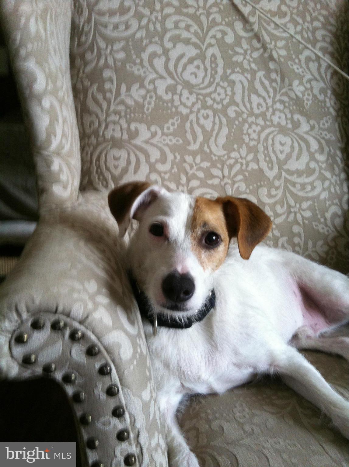 2605 Adams Mill Road Northwest, Unit 2 Washington, DC 20009 - Photo 29 of 30 a bathroom with a bathtub and dryer