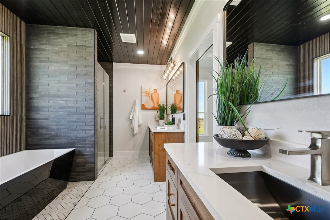 1020 Inka Road Salado, TX 76571 - Photo 27 of 48 Primary Bathroom